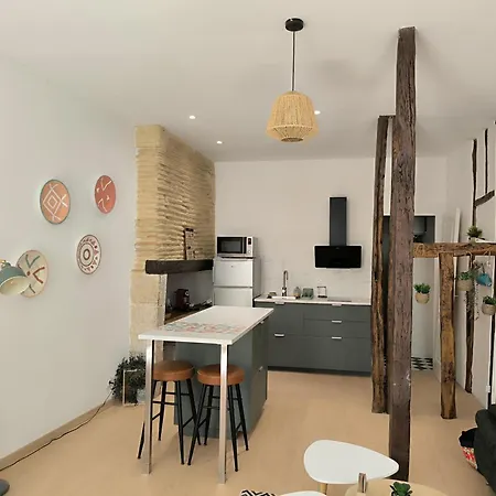 Le Lamartine - Hyper Centre Apartment Auch